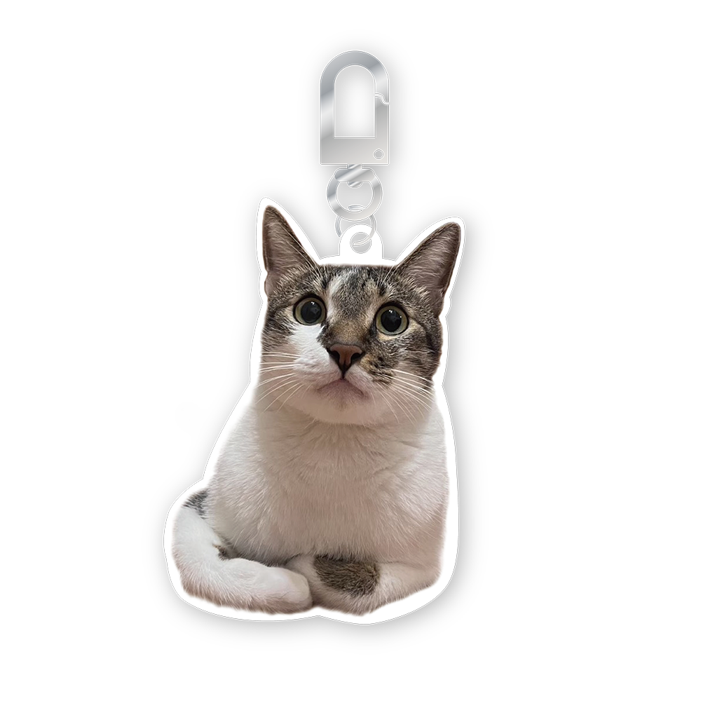 尼紐《折手手》造型一卡通